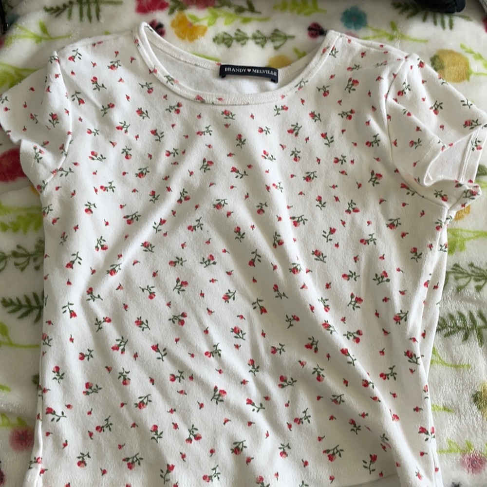 Brandy Melville Floral Crop Top